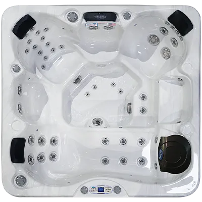 Avalon EC-849L hot tubs for sale in Fall River